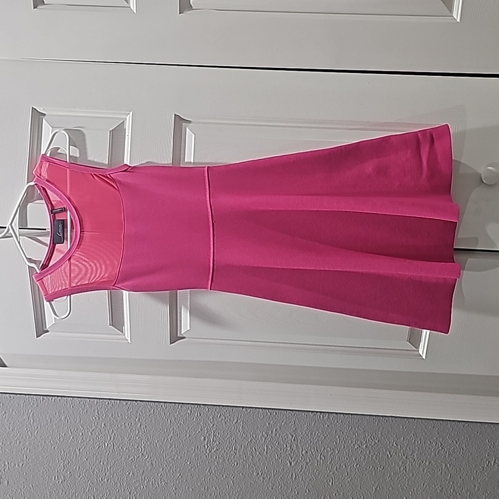 Gorgeous Pink Dress with Mesh by Line, XS